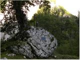 Planina Polog - Source of Tolminka